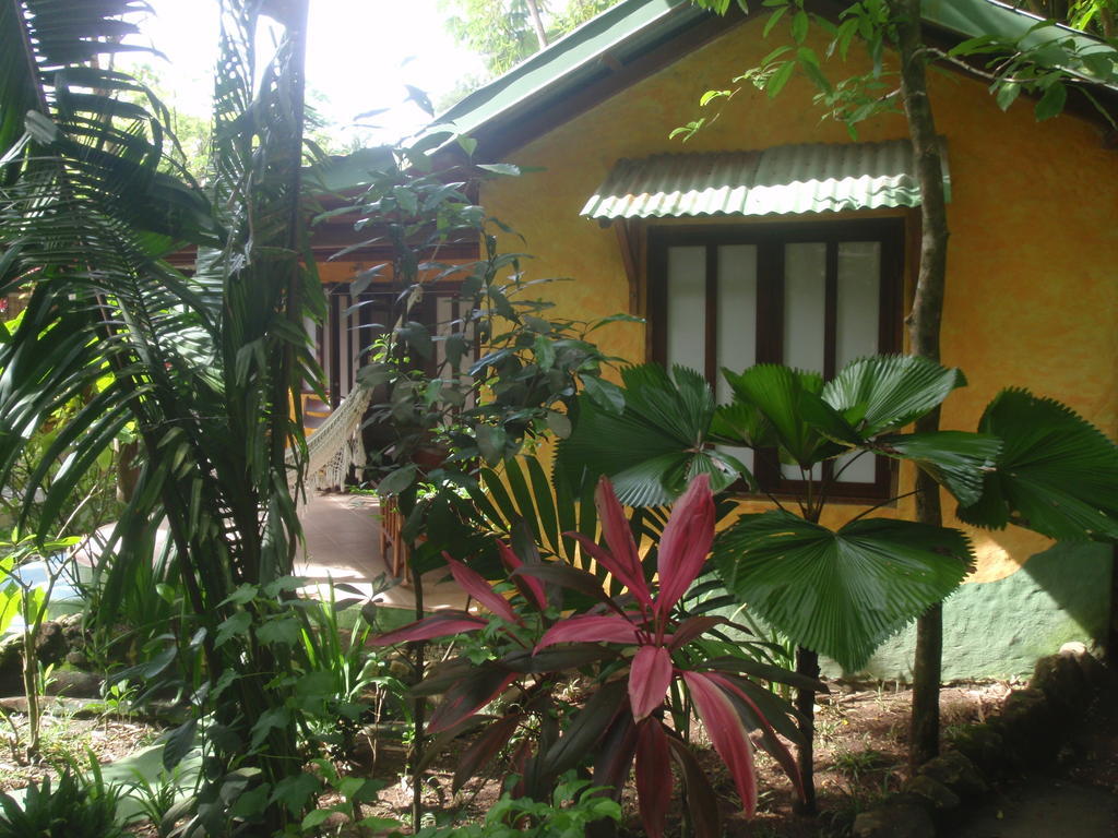 Pachamama Tropical Garden Lodge Malpais Camera foto