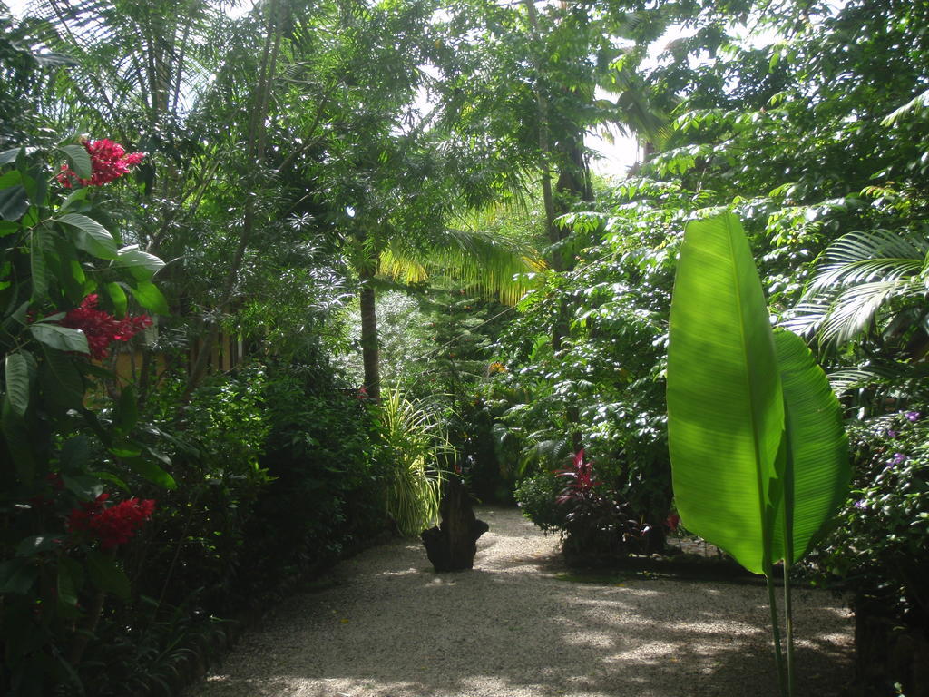 Pachamama Tropical Garden Lodge Malpais Esterno foto