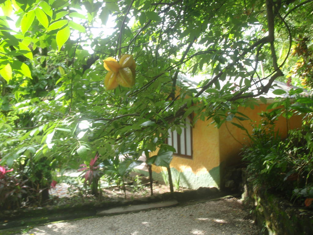 Pachamama Tropical Garden Lodge Malpais Camera foto