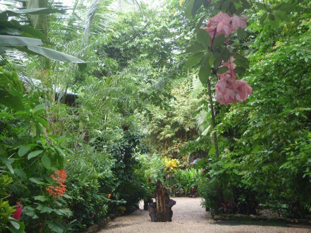 Pachamama Tropical Garden Lodge Malpais Esterno foto